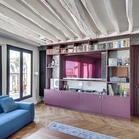 Beautiful With A Terrace In Le Marais